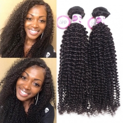 Affordable Peruvian Kinky Curly Human Hair Weave Bundles For Sale